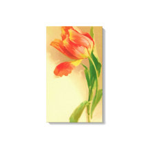 Vintage Tulip Watercolor Tilting Left