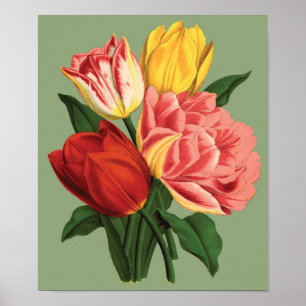 Vintage Tulips Poster