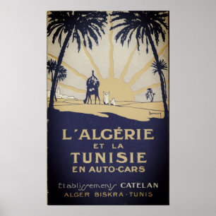 Vintage Tunisia Travel Poster