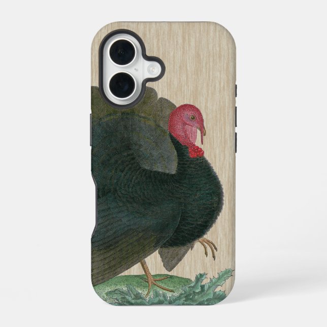 Vintage Turkey iPhone 16 Case (Back)