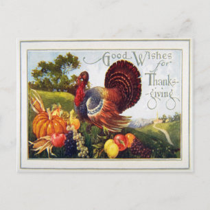 Vintage Turkey Thanksgiving Holiday Postcard