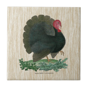 Vintage Turkey Tile
