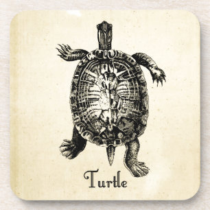 VINTAGE TURTLE COASTER