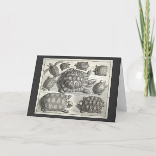 Vintage Turtle Etching Card