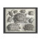 Vintage Turtle Etching
