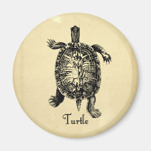 VINTAGE TURTLE MAGNET