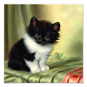 Vintage Tuxedo Kitten Illustration Photo Print