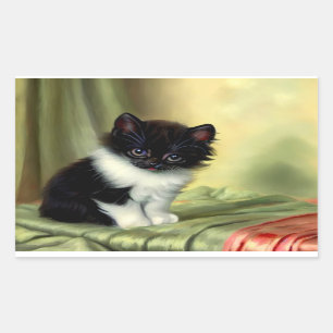 Vintage Tuxedo Kitten Illustration Rectangular Sticker