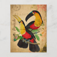 Vintage Two Colourful Toucan Birds Floral French