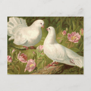 Vintage Two Easter Doves and Pink Roses Postcard
