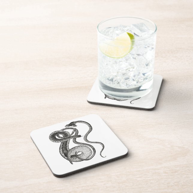 Vintage Two Headed Snake Curiosity Oddities Coaster (Right Side)