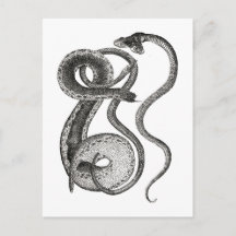Vintage Two Headed Snake Curiosity Oddities