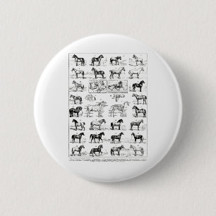 Vintage Types Of Horses Horse Breed Horseback Ridi 6 Cm Round Badge