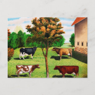 Vintage Typical Cow Breeds On The Farm Postcard