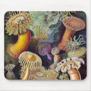 Vintage Underwater Sea Anemones by Ernst Haeckel Mouse Pad