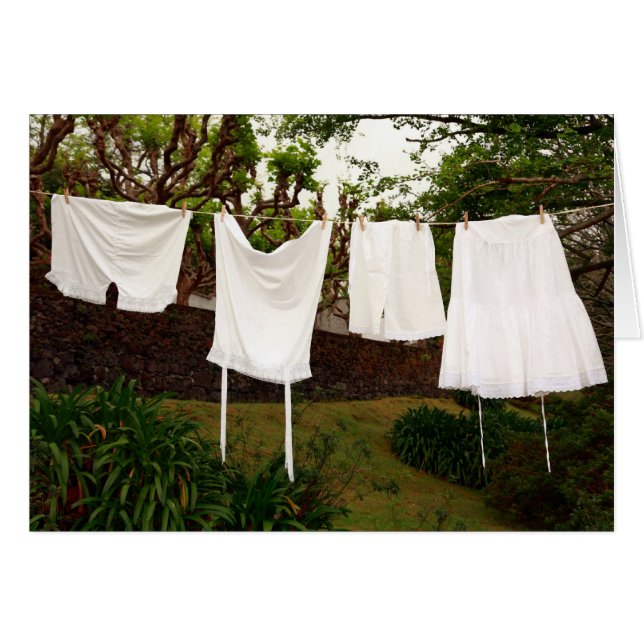 Vintage underwear laundry (Front Horizontal)