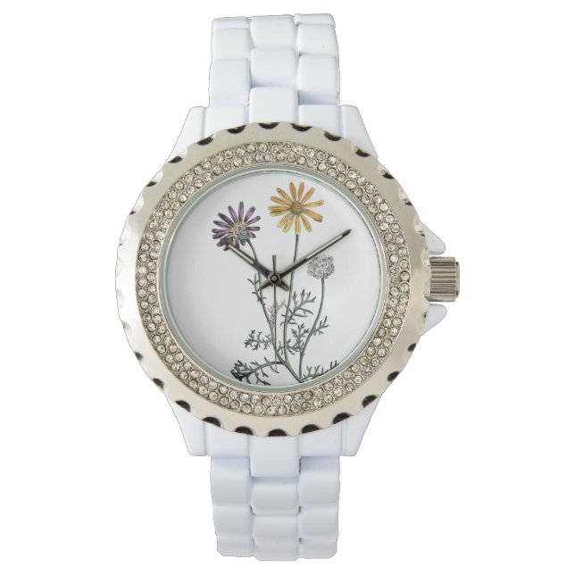 Vintage Ursinia Anthemoides Solar Fire Botanical Watch (Front)
