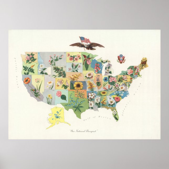 Vintage US State Flower Map (1911) Poster (Front)