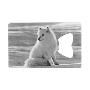 Vintage USA Alaska Arctic fox