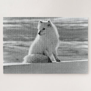 Vintage USA Alaska Arctic fox Jigsaw Puzzle