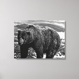 Vintage USA Alaska brown bear Canvas Print