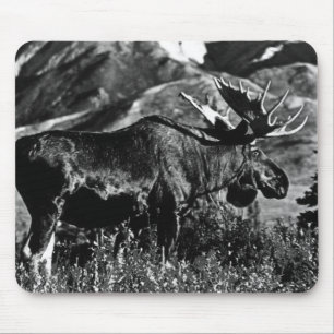 Vintage USA Alaska bull moose Case-Mate Samsung Ga Mouse Pad