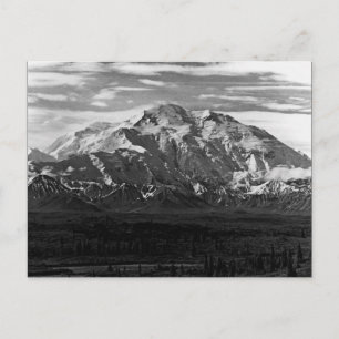 Vintage USA Alaska Mt Mckinley national park Postcard