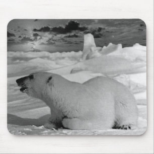Vintage USA Alaska polar bear Case-Mate iPhone Cas Mouse Pad