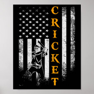 Vintage Usa Cricket Player American Flag Patriotic Poster