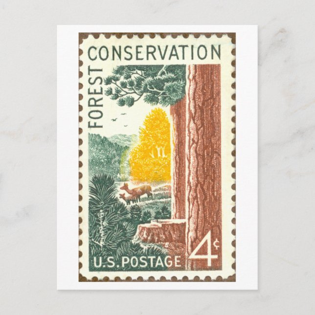 Vintage USA Forest Conservation Postage Stamp Postcard (Front)