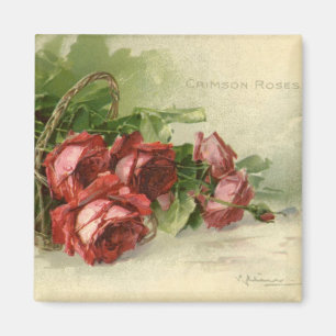 Vintage Valentine's Day, Crimson Red Roses Magnet