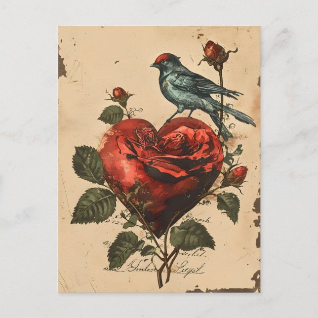 Vintage Valentine's Day  Postcard (Front)