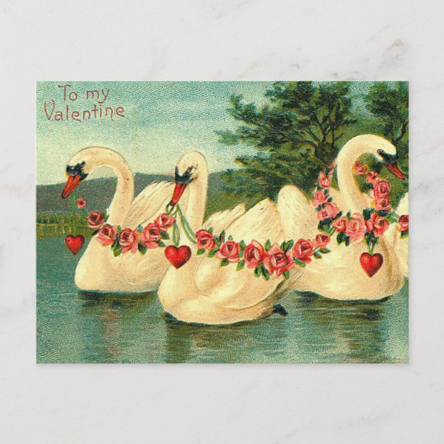 Vintage Valentines Swans and Hearts Holiday Postcard (Front)