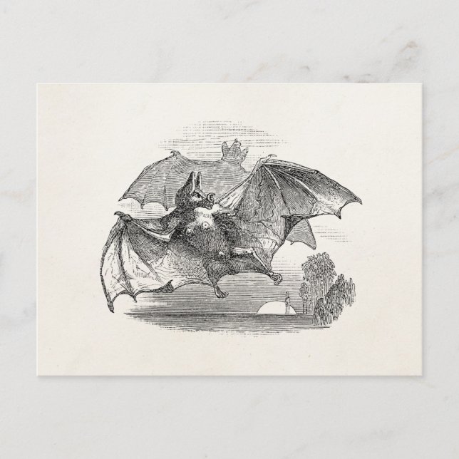 Vintage Vampire Bats Personalised Retro Bats Postcard (Front)