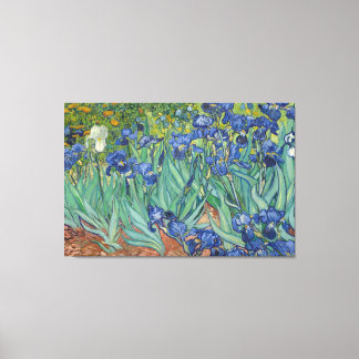 Vintage Van Gogh Irises   Canvas Print