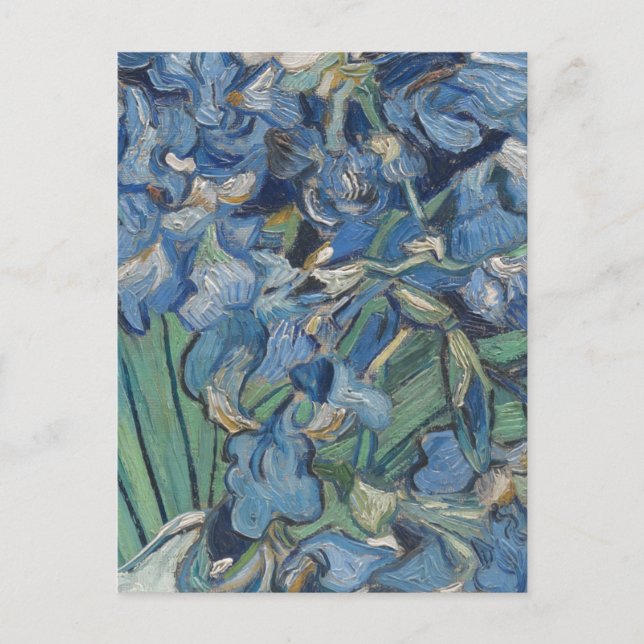 Vintage Van Gogh Irises Postcard (Front)