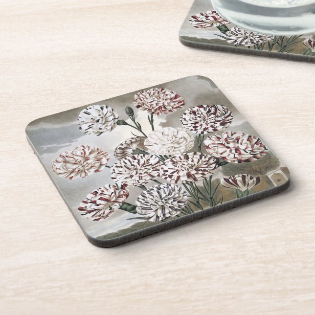 Vintage Variegated Carnation Flowers with Grey Sky Coaster (Left Side)