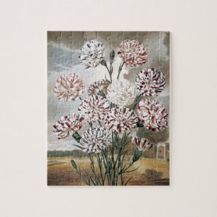 Vintage Variegated Carnation Flowers with Grey Sky Jigsaw Puzzle