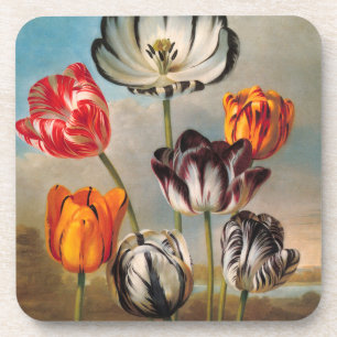 Vintage Variegated Tulip Flowers in a Landscape Coaster