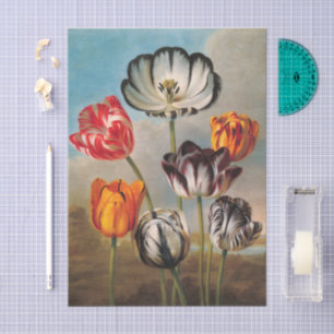 Vintage Variegated Tulip Flowers in a Landscape Tissue Paper