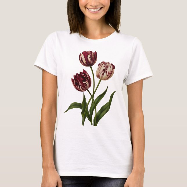 Vintage Variegated Tulips T-Shirt (Front)