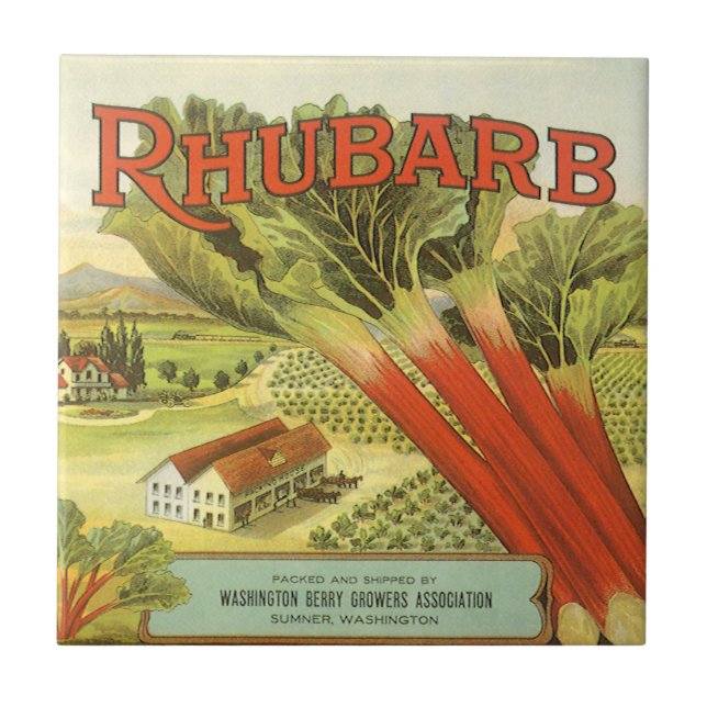 Vintage Vegetable Can Label Art, Rhubarb Farm Tile (Front)