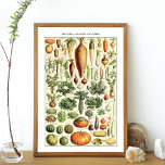 Vintage Vegetable Chart Adolphe Millot<br><div class="desc">A vintage chart of vegetables by Adolphe Millot entitled Legumes et Plantes Potageres. Gourds and root vegetables,  including pumpkin,  carrot and squash.</div>