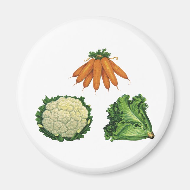 Vintage Vegetables; Carrots, Cauliflower, Lettuce Magnet (Front)