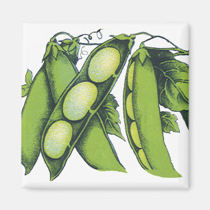 Vintage Vegetables; Lima Beans, Organic Farm Foods Magnet