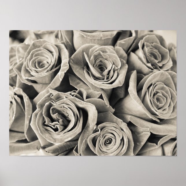 Vintage Velvet Beauty Poster (Front)