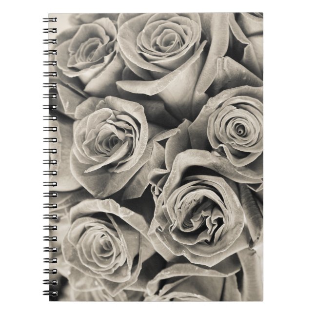 Vintage Velvet Beauty Spiral Notebook (Front)