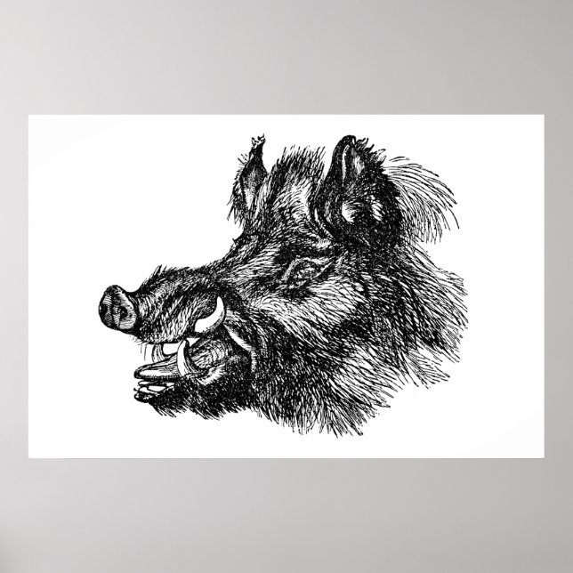 Vintage Vicious Wild Boar w Tusks Template Poster (Front)