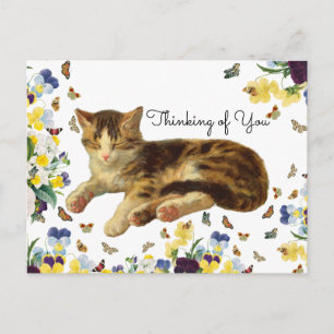 Vintage Victorian Cat Nap Floral Thinking of You Postcard