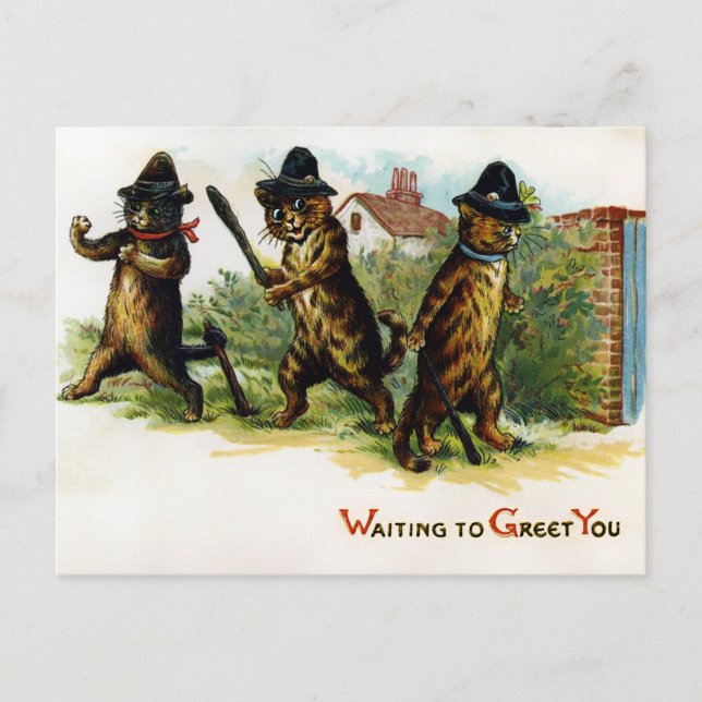 Vintage Victorian Cats Postcard (Front)